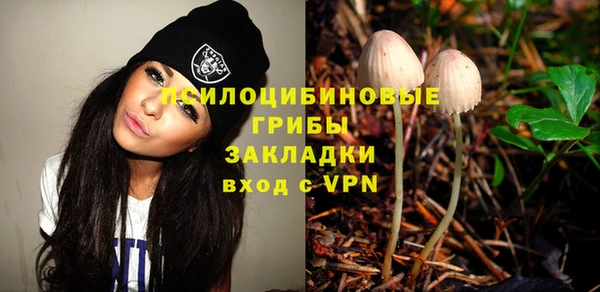 трава Наволоки