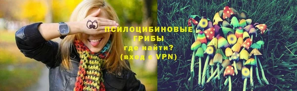 амф Артём