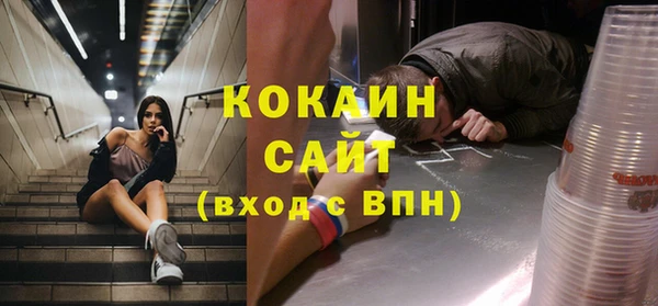 трава Наволоки