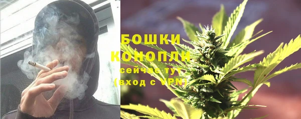 стаф Ачинск