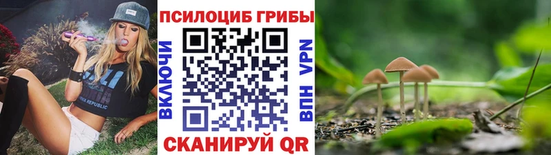 сайты даркнета Telegram  Полярный  Галлюциногенные грибы прущие грибы 