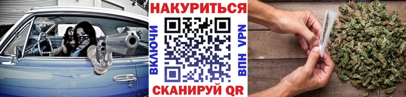 Конопля MAZAR  Полярный 